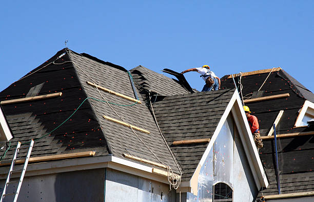 Best Roof Gutter Cleaning  in Linton Hall, VA